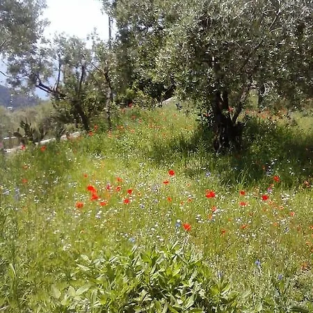 Borgo Tipico Collinare *